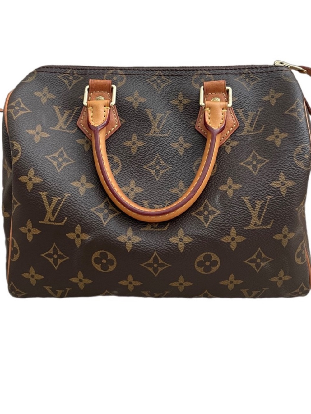 Louis Vuitton Speedy 25 in Monogram Canvas